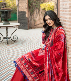 BinIlas Premium Pakistani Dresses